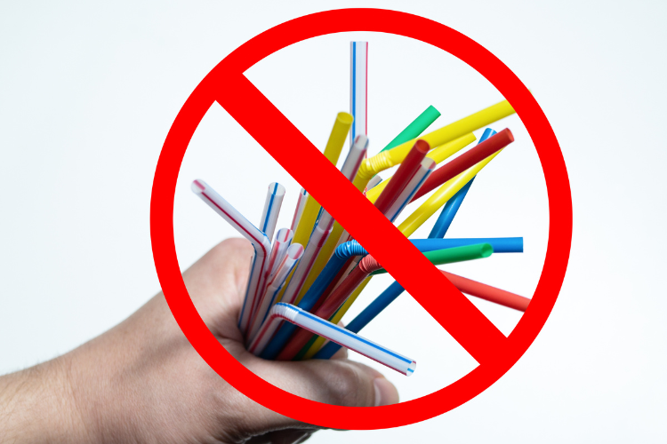 Pros and Cons of Plastic Straw Ban