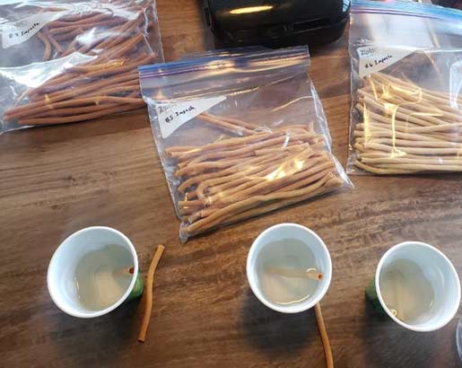 imPASTA biodegradable straw testing August 2020